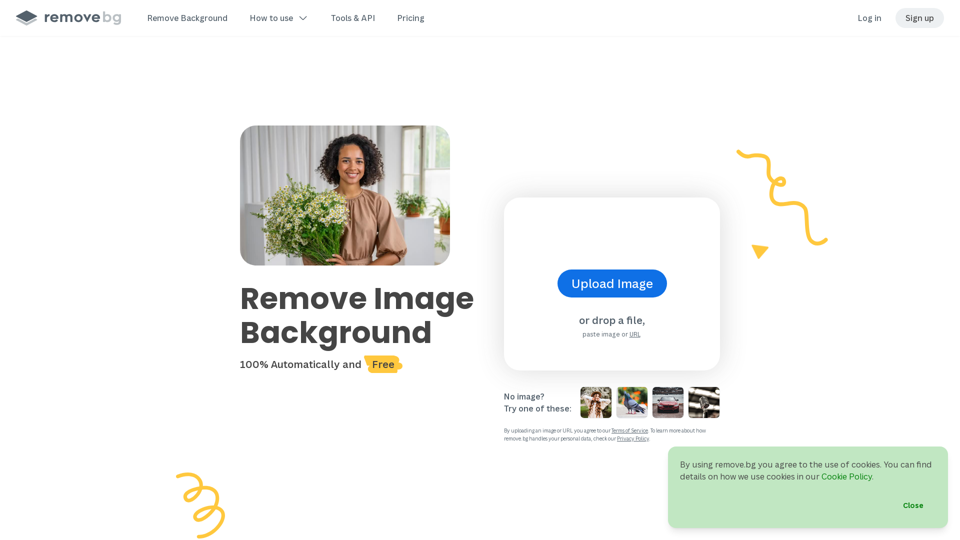 Free Background Removal from Images | remove.bg AI Tool